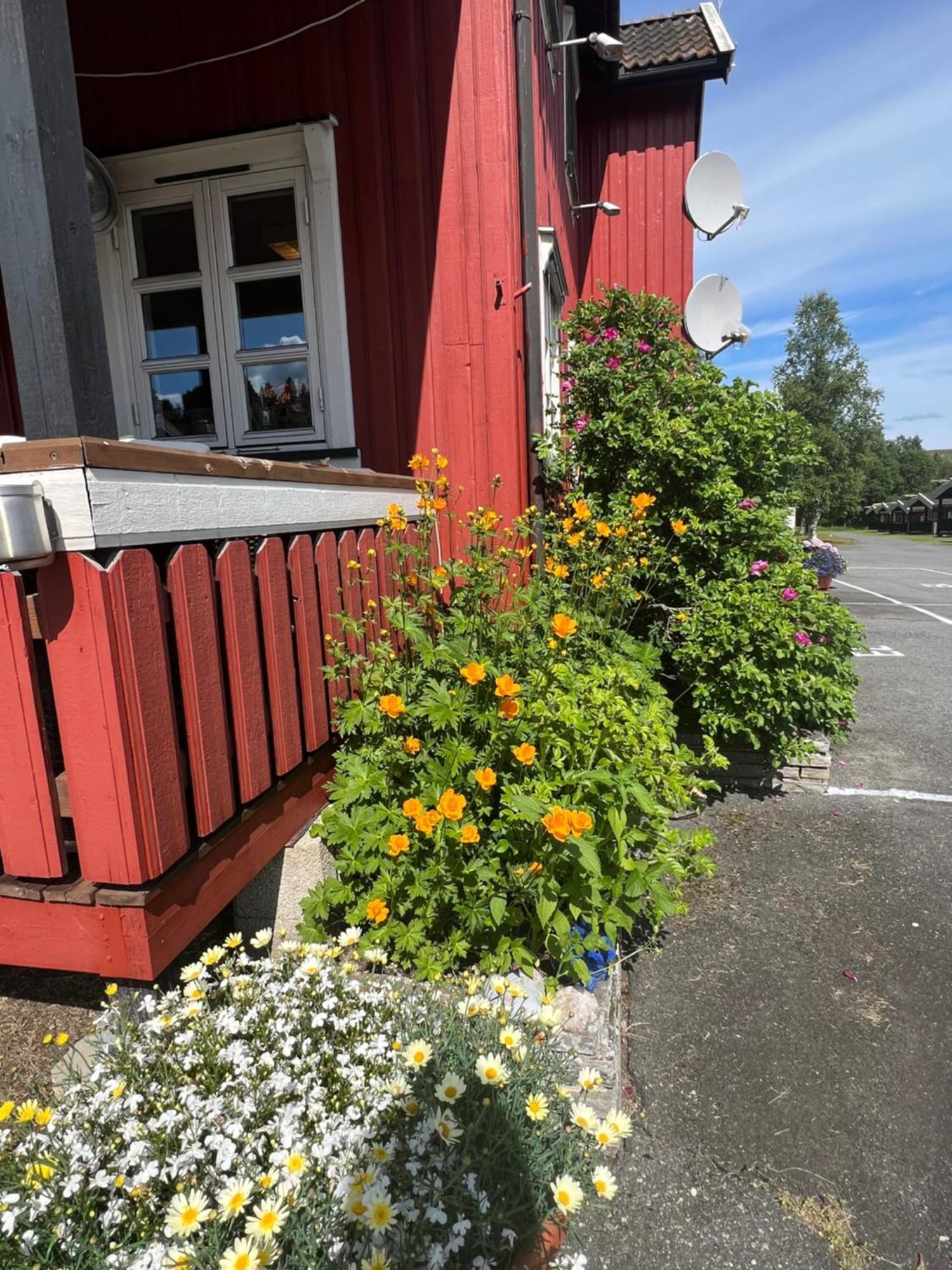 Gullvag Camping Nyberg Soknedal Εξωτερικό φωτογραφία