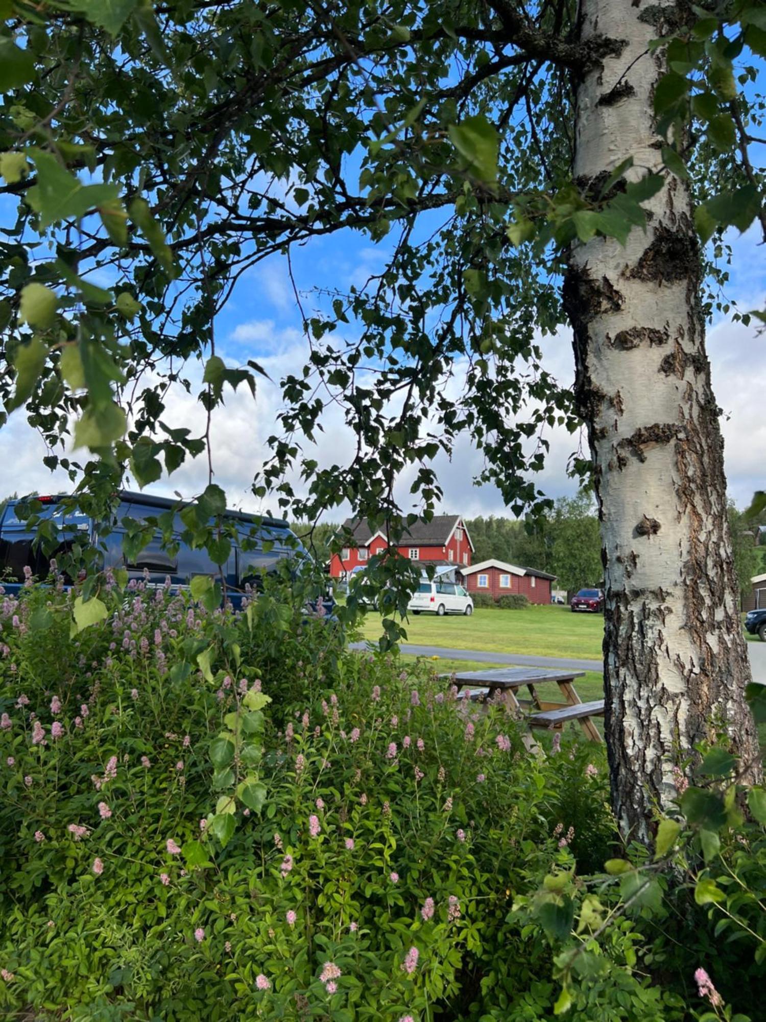 Gullvag Camping Nyberg Soknedal Εξωτερικό φωτογραφία