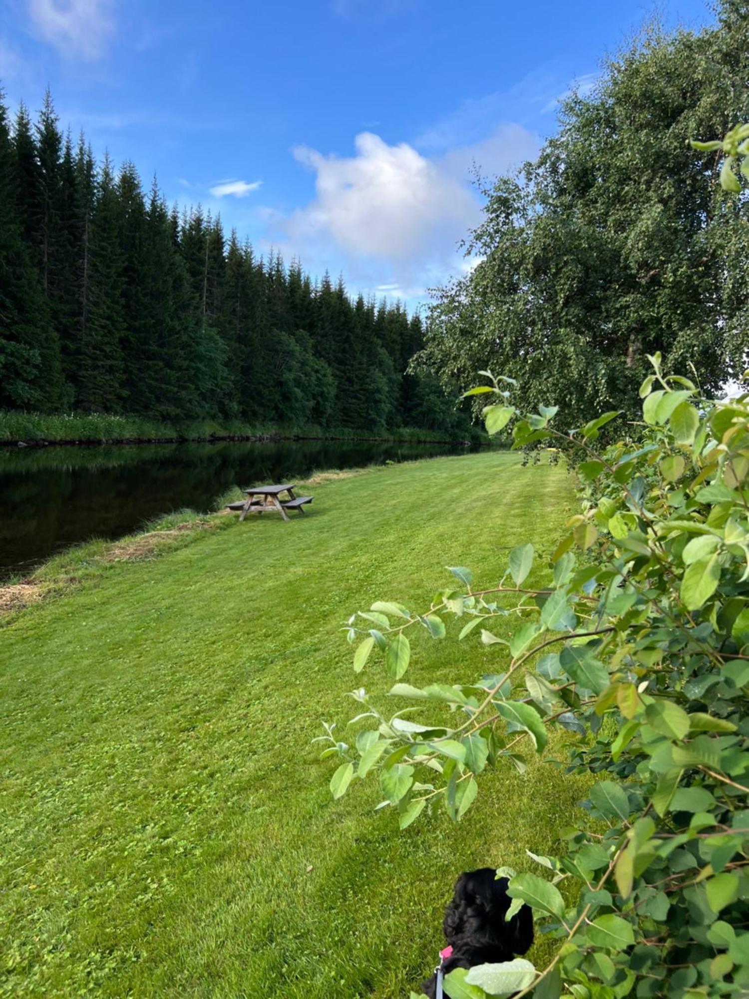 Gullvag Camping Nyberg Soknedal Εξωτερικό φωτογραφία